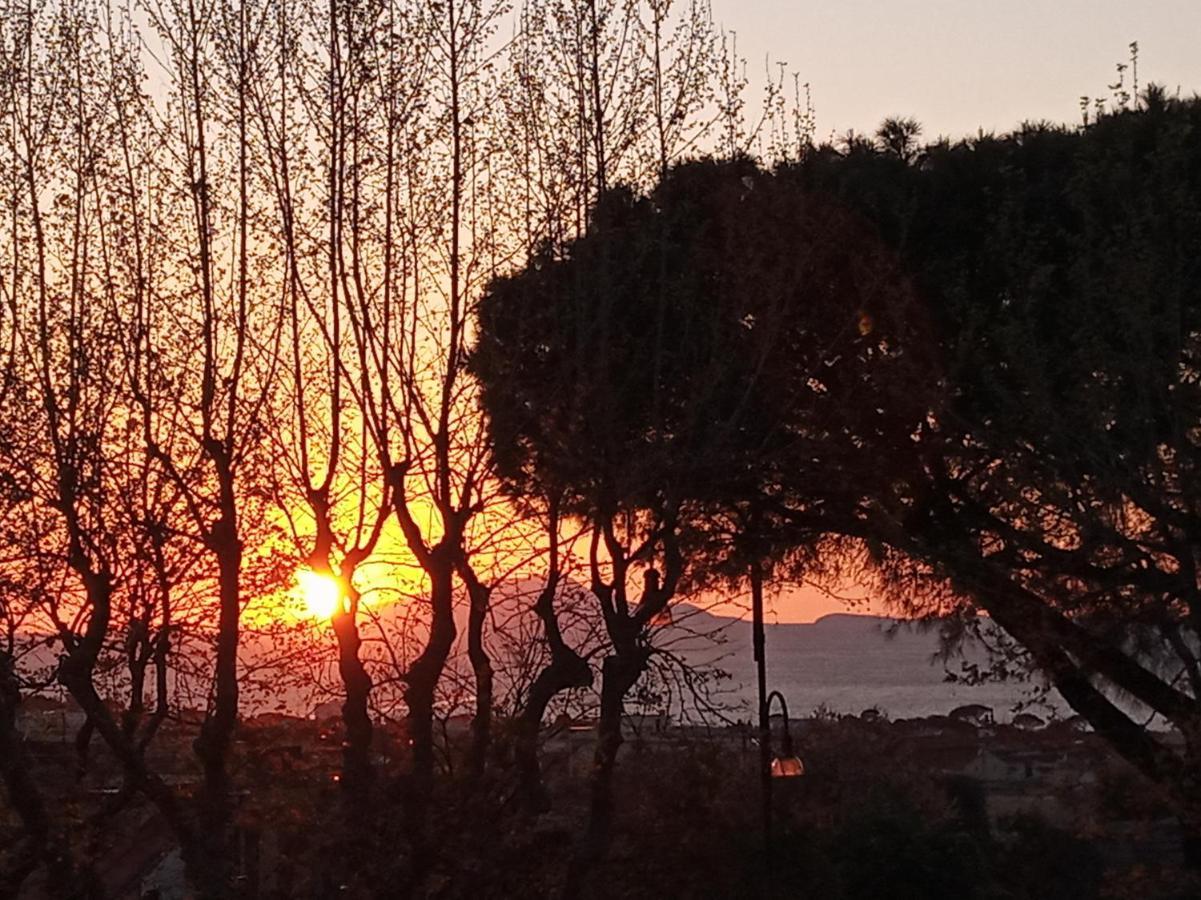 Il Platano Bed & Breakfast Piano di Sorrento Luaran gambar