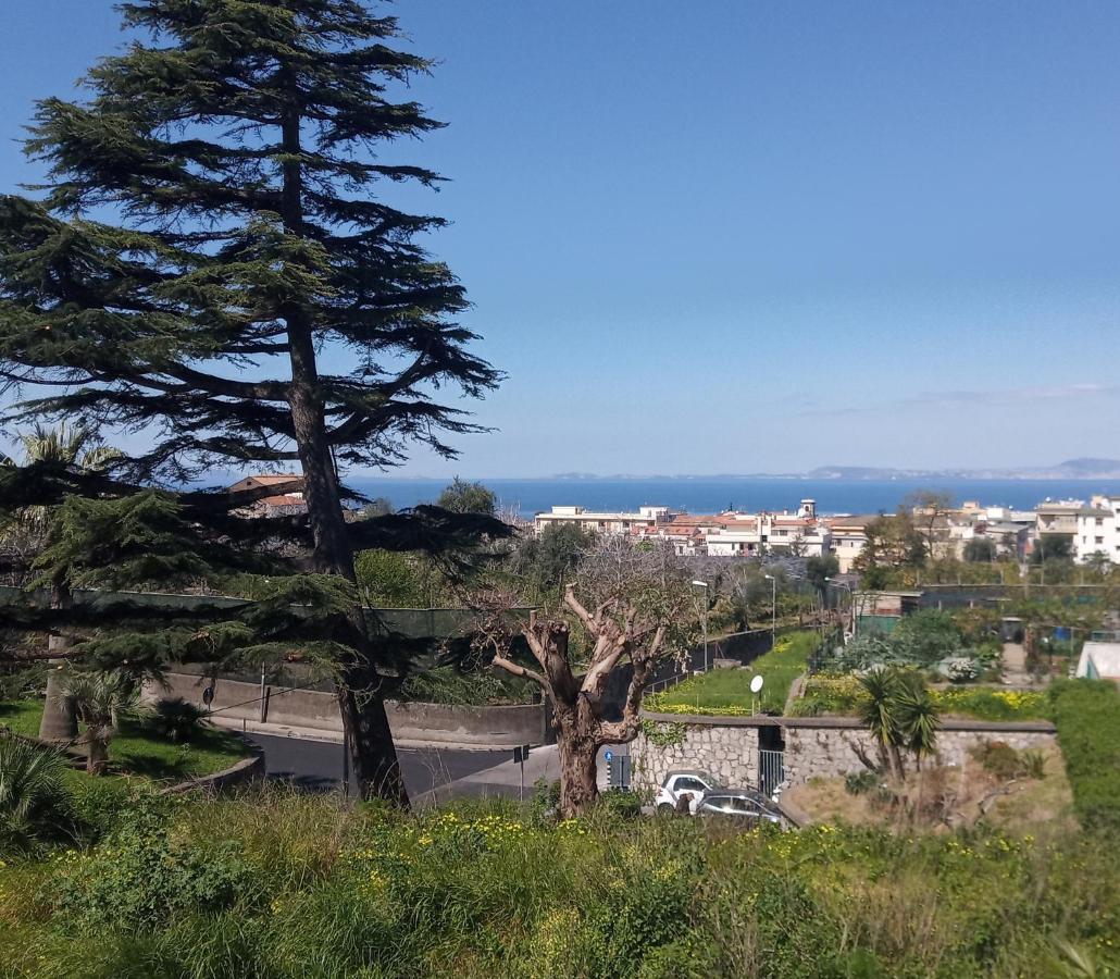 Il Platano Bed & Breakfast Piano di Sorrento Luaran gambar