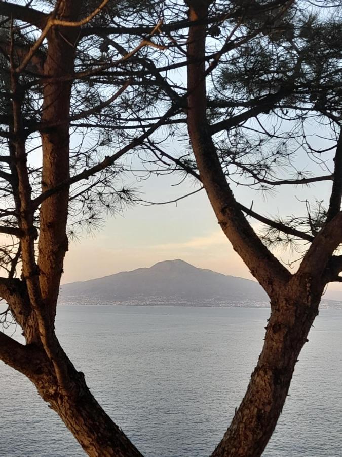 Il Platano Bed & Breakfast Piano di Sorrento Luaran gambar
